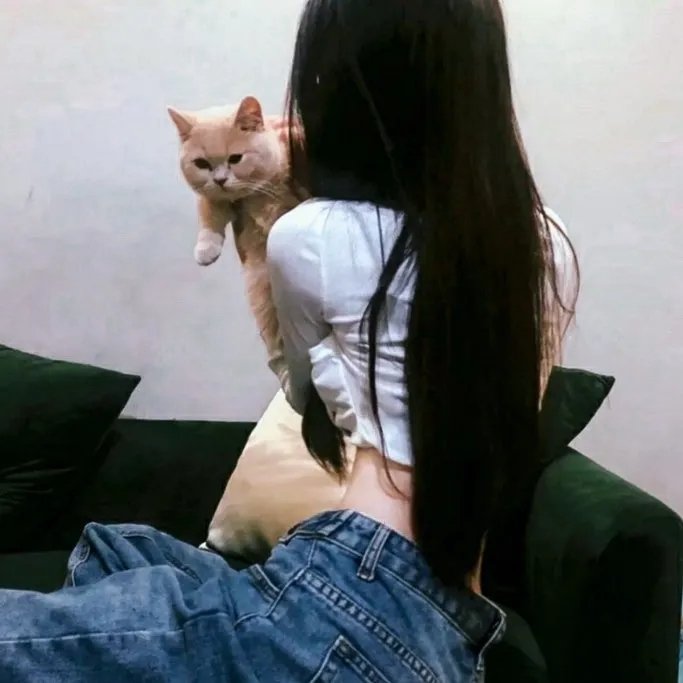 监狱疯波 在线观看