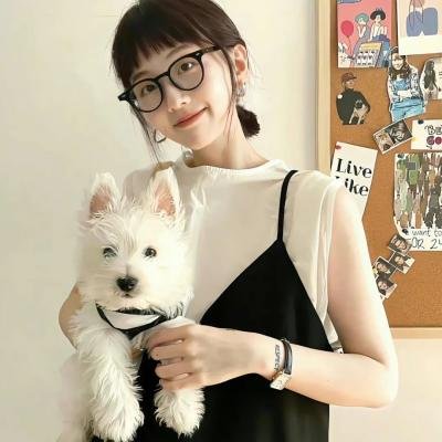 人来客往 在线观看